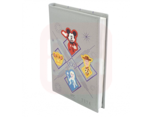 Agenda 2024 Disney 100