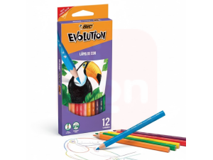 Lápis de Cor Sextavado Evolution 12 Cores  – BIC